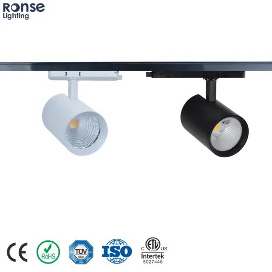 RONSE CE Shop Restaurant Aluminium LED Spot Lights 220V 3000K 6000K 40W Cob Track Lighting