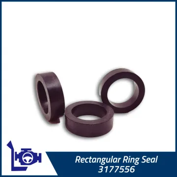3177556 Cummins Rectangular Ring Seal