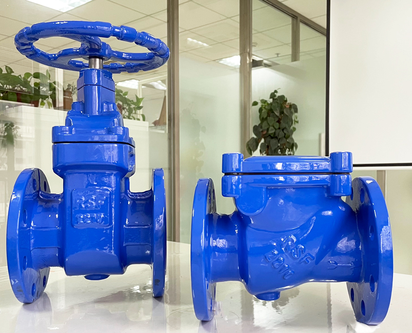 Rsf Msgv Metal Seat Iron Gate Valve 1 Jpg