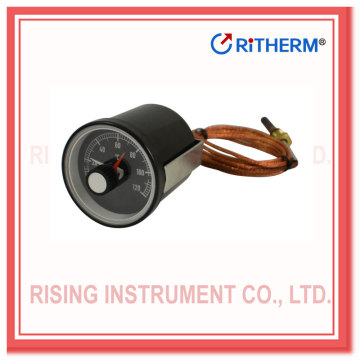 Combistat Thermometer with micro switch