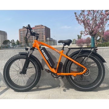 Electric Snow Bicycle with 750w Brushless Motor, 48V 20ah Li-ion Battery & Full Suspension: Your Winter Riding Companion
