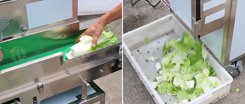 industrial vegetable cutter