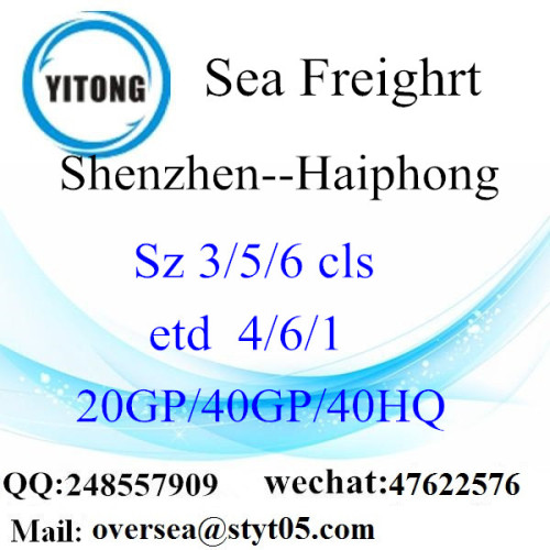 Shenzhen Port Sea Freight Shipping To Haiphong