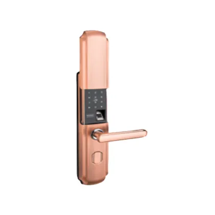Fingerprint Code Smart Home Door Lock