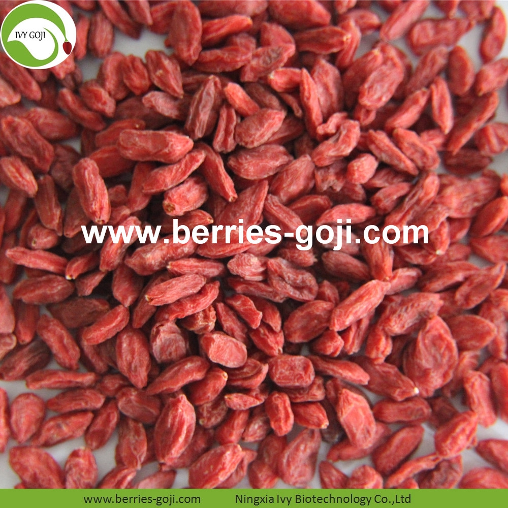 goji berry