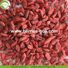 Factory Wholesale Nutrition Natural Zhongning Goji Berries