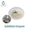 Polvo de enzima subtilisina para hidrólisis de proteínas, procesamiento de alimentos