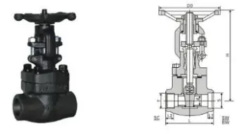 Forged Steel Gate Valve