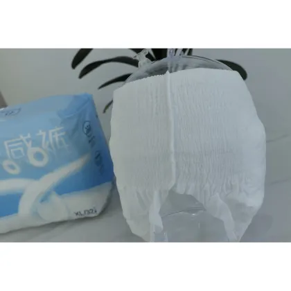 Double Guard Training Diapers