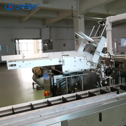 Multifunctional Food Cartoning Machine for Sausages, Quail Eggs, and More