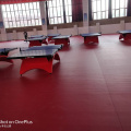 Suelo de PVC para tenis de mesa con certificado ITTF