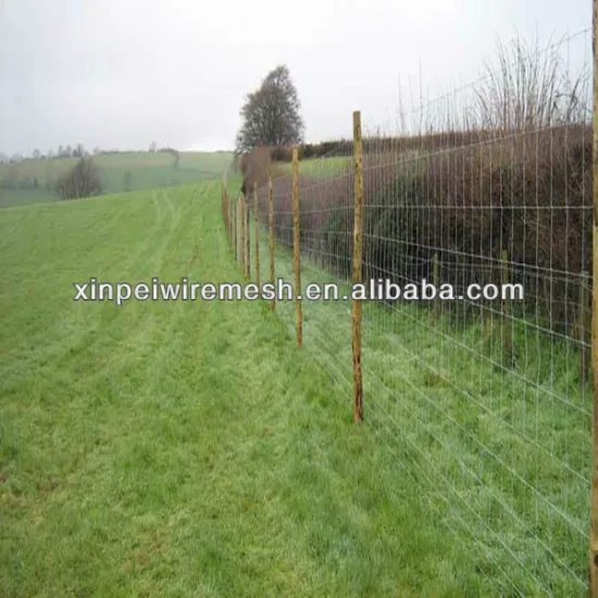 2015hot sale !!Professional Manufacture high quality galvanized Grassland Fence