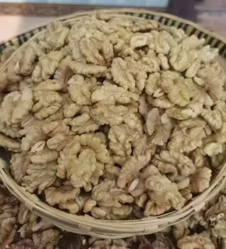 Wholesale Yunnan Thin-shelled Walnut Kernels