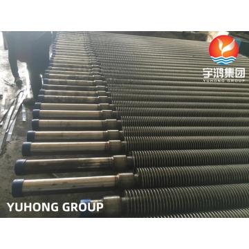 ASTM A213 T12 ALLIAG STEEL HFW TUBE