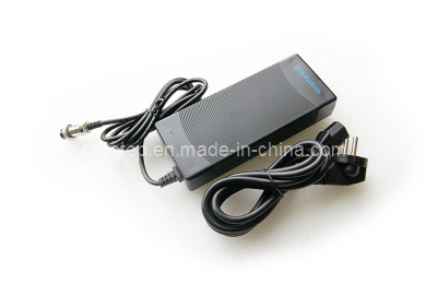 100 to 240V/60Hz Electric Vehicle Battery Charger, Robin-M1 Proprietary Charger, AC Adapter Charger