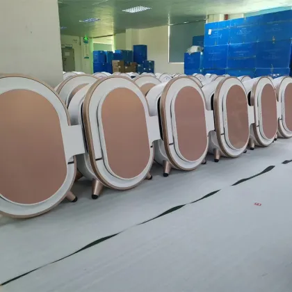 2023 New Technology Skin Analyzer Machine for Spa Use - Factory Sales