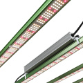 LED wachsen leichte Bar LM301H