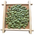 Hot Sale Pumpkin Seeds Kernels Factory Supply