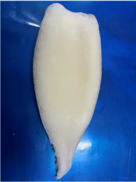 Frozen Squid Tubes Illex Argentinus IQF