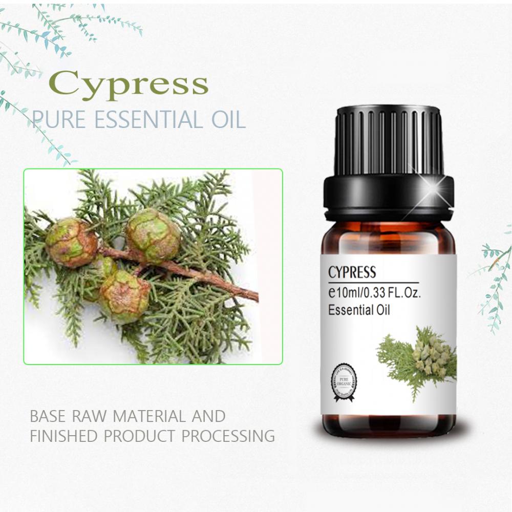 Custom OEM/ODM pure aromatherapy cypress essential oil