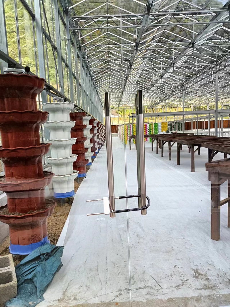 Qingcheng Agriculture's Crafted Pengshui Glass Greenhouse Project: Soilless Cultivation Industrial Park Launched and Operational