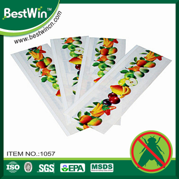 BSTW wlecome OEM ODM scent eliminate fruit fly trap