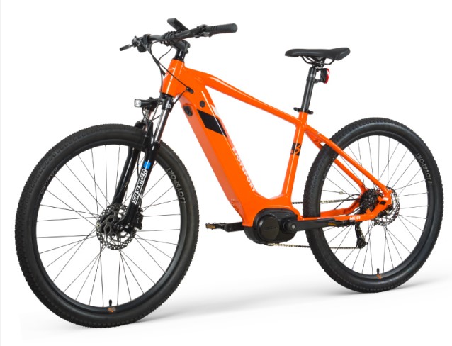 Pedal Assist Ebike