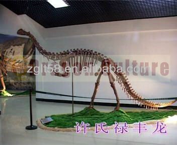 2014 New Museum Simulation Dinosaur Fossil For Sale
