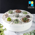 Pentola di fiori succulenti rotante a nove goloni