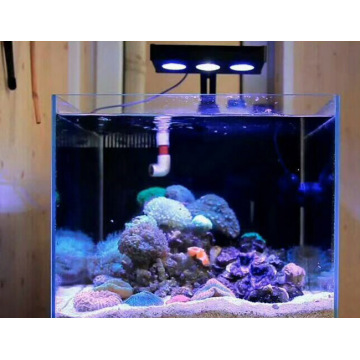 Aquarium Fish Tank Light Coral Reef Algae Lam