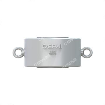 Dual Plate Check Valve