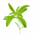 Chiết xuất lá Stevia Stevia Rebaudiana 98%