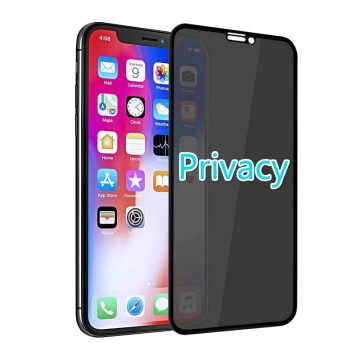 Volledige cover Privacy Screen Protector Anti-Spy Tempered Glass Film voor iPhone 14/13/12/11 Pro Max Mini