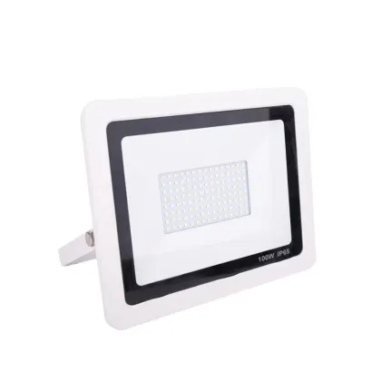 LED Cold Room Lighting: Resistant to Cold and Moisture - Ideal for Cold Storage Environments