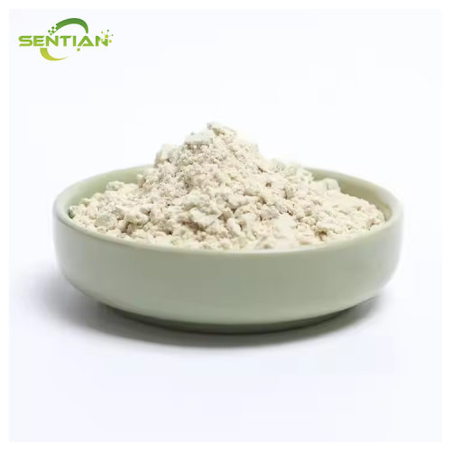 High-Quality Pumpkin Seed Protein Extract