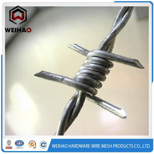 Electro Galvanized Traditional Twist Barbed Wire