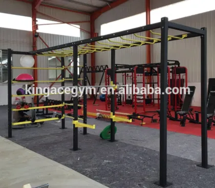 Fitness Equipment/Professional Hammer Strength Ascending Monkey Bar Rig