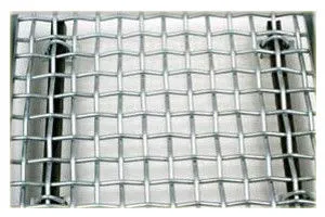 Black, White Iron Galvanized Stainless Steel Square Crimped Wire Mesh