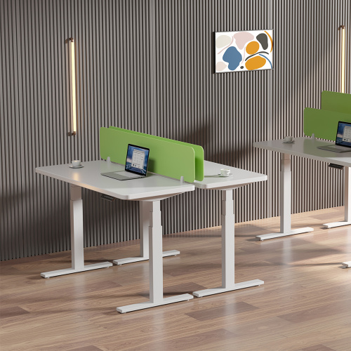 Ergonomic Electric Desk Height Adjustable Office Desk