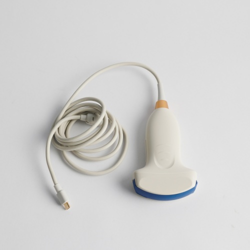 Fast Scan C for pig ultrasound