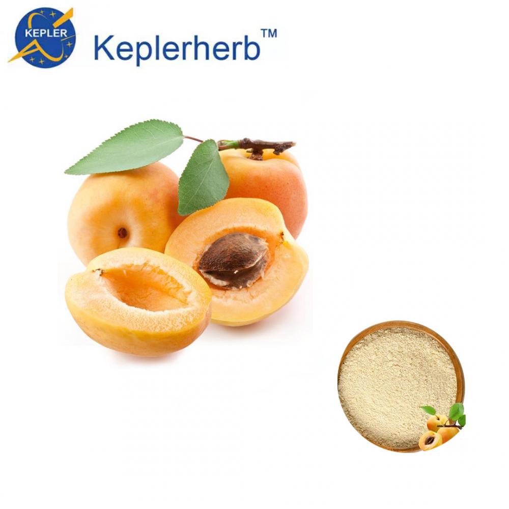 Apricot Fruit Extract factory supply