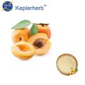 Apricot Fruit Extract factory supply