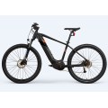 Mountain Electric Bike for Seniors