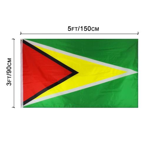 Wholesale Silk Printing Polyester Guyana Flag