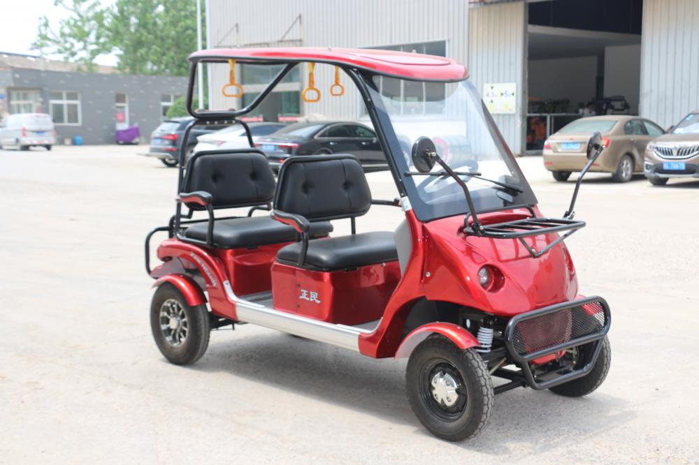 Carrinho de turismo elétrico de dois lugares