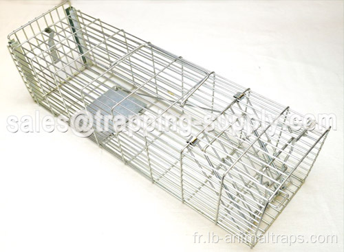 LB-07 libéré la cage de piège à rat de la porte