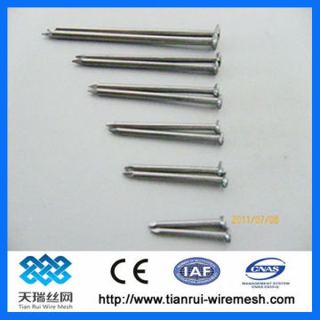 Construction and Building Common rond iron nail (ISO)