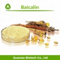 Extrato da raiz de Baicalensis de Scutellária Baicalin 85% HPLC