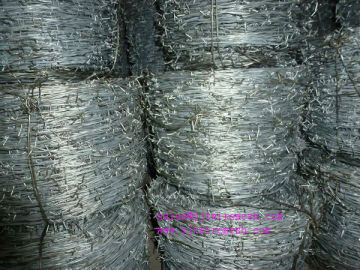 Supply electro galvanized /hot dipped galvanized barbed wire to south africa
