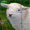 galvanized goat livestock farm wire mesh fence